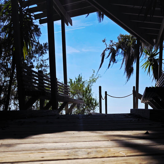 Wooden deck with benches and trees on a clear day